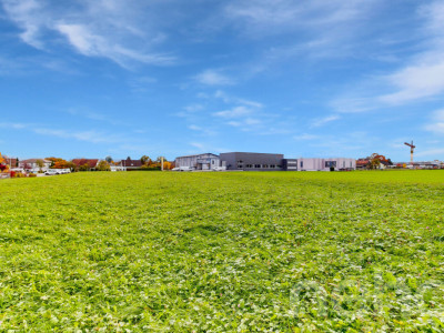 Attraktive Baulandparzelle mit zusätzlicher Landwirtschaftsfläche image 8