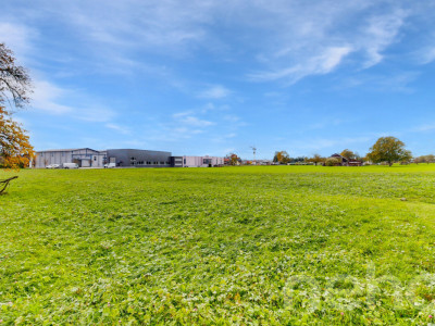 Attraktive Baulandparzelle mit zusätzlicher Landwirtschaftsfläche image 9