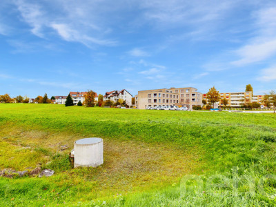 Attraktive Baulandparzelle mit zusätzlicher Landwirtschaftsfläche image 11