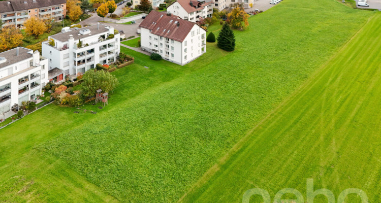 Attraktive Baulandparzelle mit zusätzlicher Landwirtschaftsfläche image 4