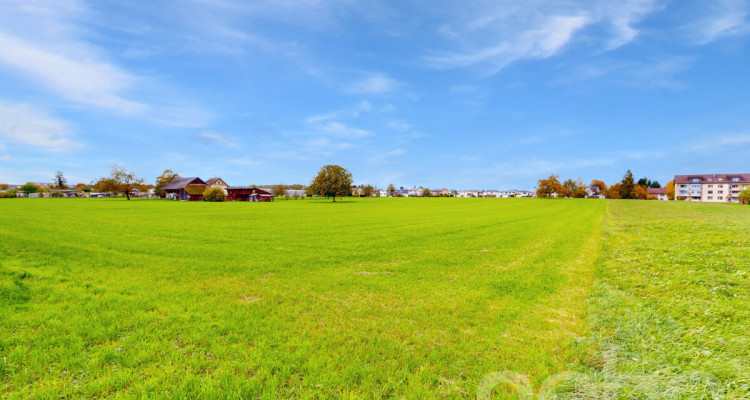 Attraktive Baulandparzelle mit zusätzlicher Landwirtschaftsfläche image 7