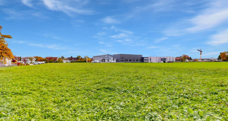 Attraktive Baulandparzelle mit zusätzlicher Landwirtschaftsfläche image 8
