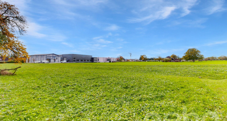 Attraktive Baulandparzelle mit zusätzlicher Landwirtschaftsfläche image 9