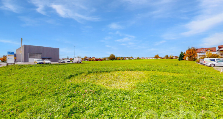 Attraktive Baulandparzelle mit zusätzlicher Landwirtschaftsfläche image 10