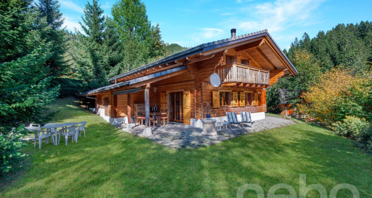 Authentique ? Lumineux ? Paisible | Chalet familial aux Diablerets image 1