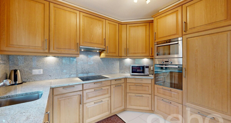 Charmant appartement 3.5 pièces avec vue panoramique image 4