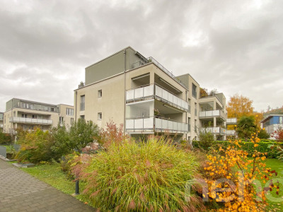 Wohnung mit Südterrasse und attraktivem Renovationspotenzial image 1