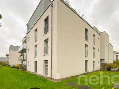 Wohnung mit Südterrasse und attraktivem Renovationspotenzial image 4