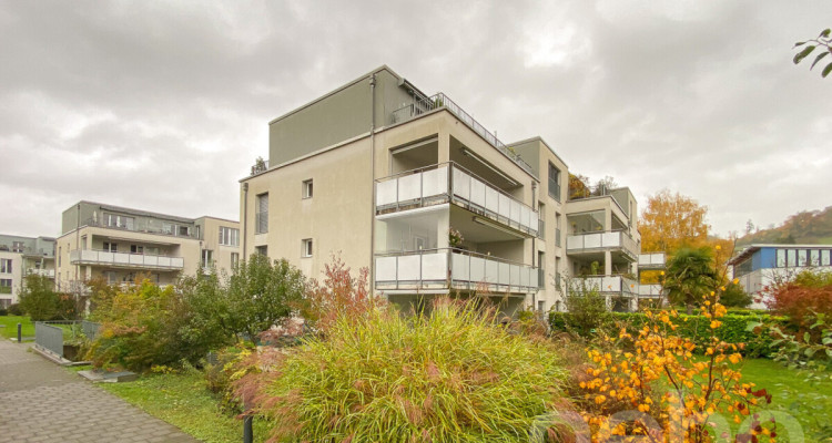 Wohnung mit Südterrasse und attraktivem Renovationspotenzial image 1