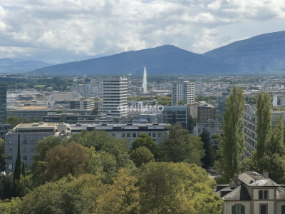 EXCLUSIVITE - Au coeur du quartier des Organisations Internationales image 1