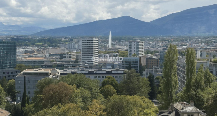 EXCLUSIVITE - Au coeur du quartier des Organisations Internationales image 1