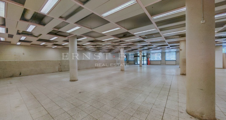 Große Einzelhandelsfläche im Herzen des Skigebiets Les Diablerets image 2