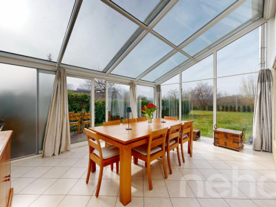 En bordure de la Seymaz image 4