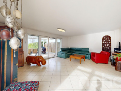 En bordure de la Seymaz image 7