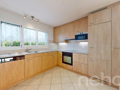 En bordure de la Seymaz image 8