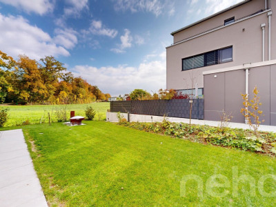 Modernes 5.5-Zimmer-Einfamilienhaus in 5223 Riniken image 12