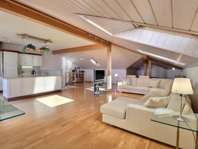 DUPLEX UNIQUE EN CENTRE AVEC VUE PANORAMIQUE image 3