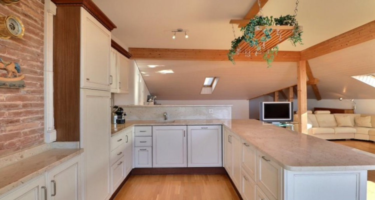 DUPLEX UNIQUE EN CENTRE AVEC VUE PANORAMIQUE image 10