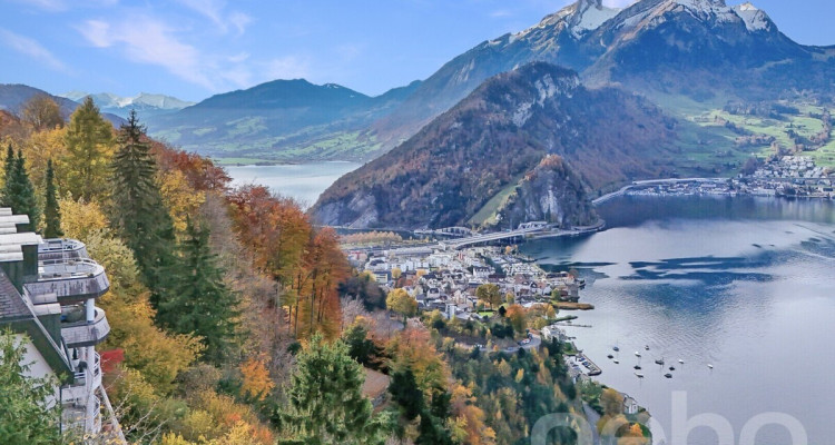 Charmevolle 3.5-Zimmer-Wohnung mit atemberaubendem See- und Bergblick image 1