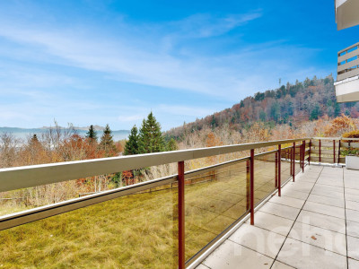 Appartement avec vue sur le lac et les Alpes, proche du centre image 3