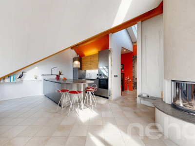 Bel attique rénové avec terrasse et belle hauteur sous plafond image 5