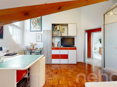 Bel attique rénové avec terrasse et belle hauteur sous plafond image 9