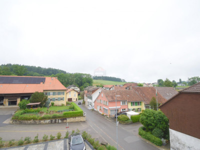 Appartement de 4.5 pièces avec jardin image 1