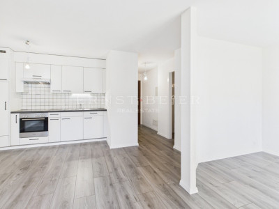 Opportunité : studio avec terrasse/jardin image 2