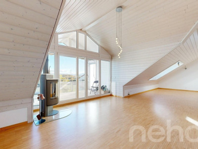 Face à la fôret du Nant dAvril image 1