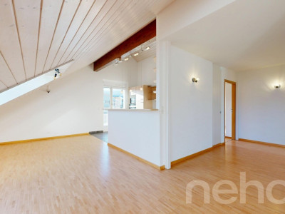 Face à la fôret du Nant dAvril image 4