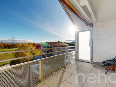 Face à la fôret du Nant dAvril image 7