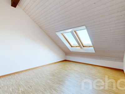 Face à la fôret du Nant dAvril image 9