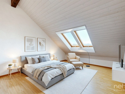 Face à la fôret du Nant dAvril image 10