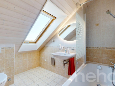 Face à la fôret du Nant dAvril image 11