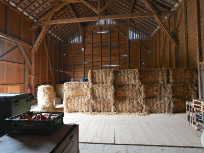 OPPENS - MAGNIFIQUE FERME SUR 5 HECTARES  image 11