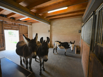 OPPENS - MAGNIFIQUE FERME SUR 5 HECTARES  image 10