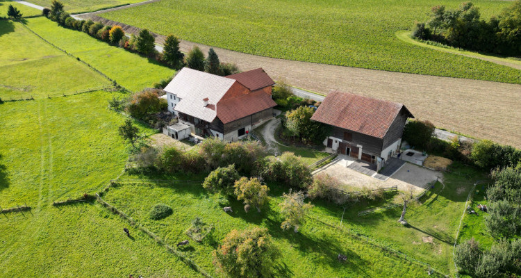 OPPENS - MAGNIFIQUE FERME SUR 5 HECTARES  image 2