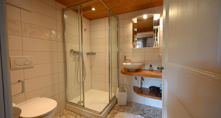 OPPENS - MAGNIFIQUE FERME SUR 5 HECTARES  image 8