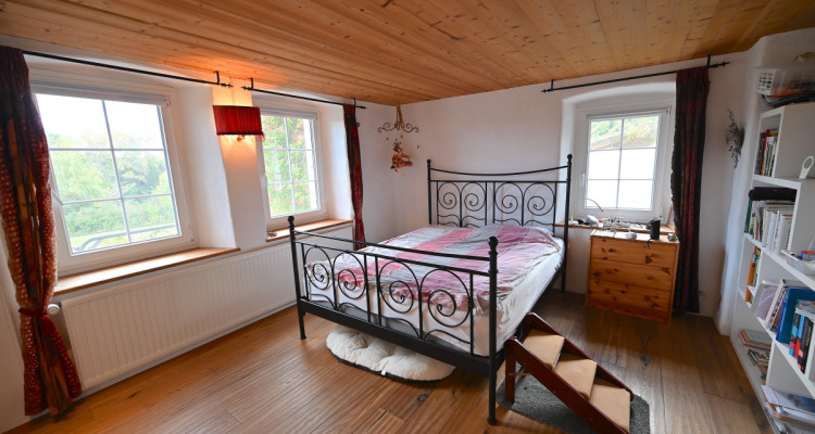 OPPENS - MAGNIFIQUE FERME SUR 5 HECTARES  image 5