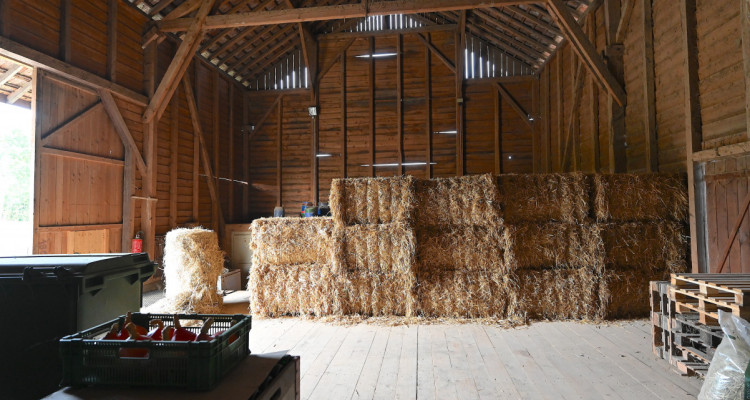 OPPENS - MAGNIFIQUE FERME SUR 5 HECTARES  image 11