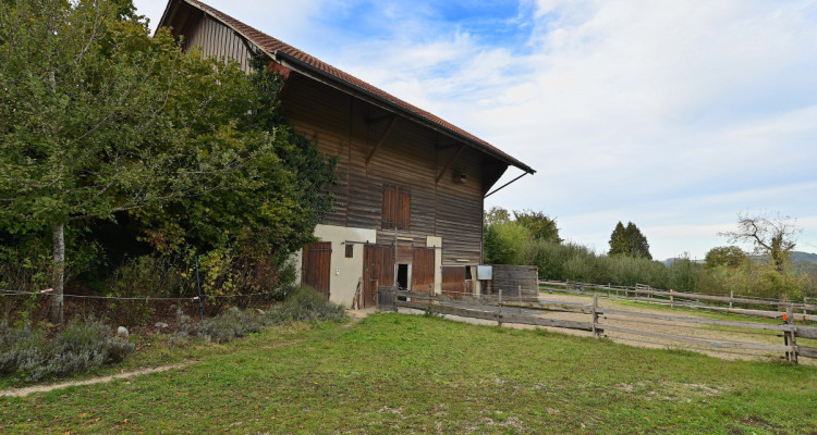 OPPENS - MAGNIFIQUE FERME SUR 5 HECTARES  image 9
