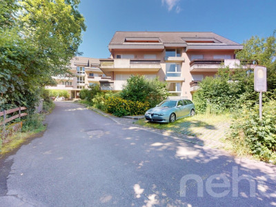 Gepflegte 2.5-Zimmer Gartenwohnung in Zürich-Affoltern image 11