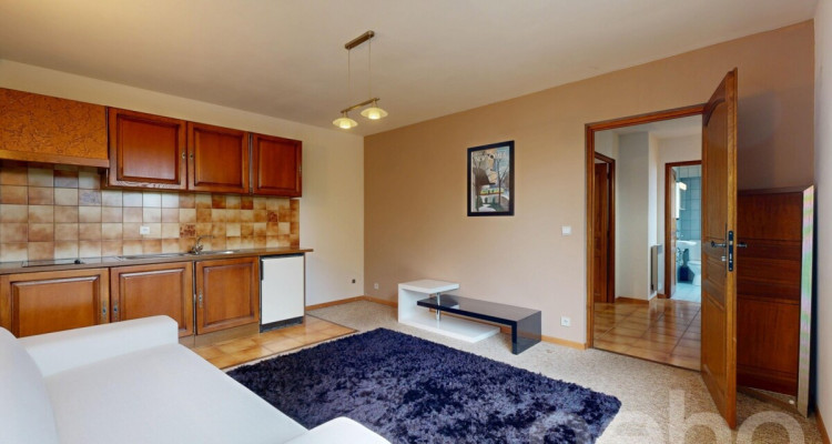 Belle maison jumelée avec grand jardin image 9