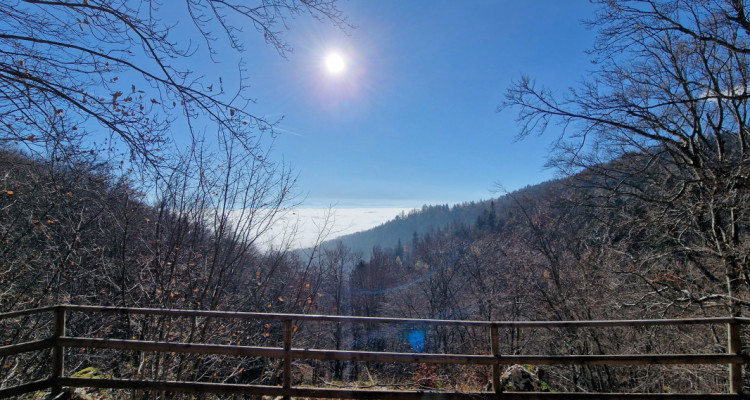 Fabuleux appartement en terrasse, Saint Cergue centre image 13