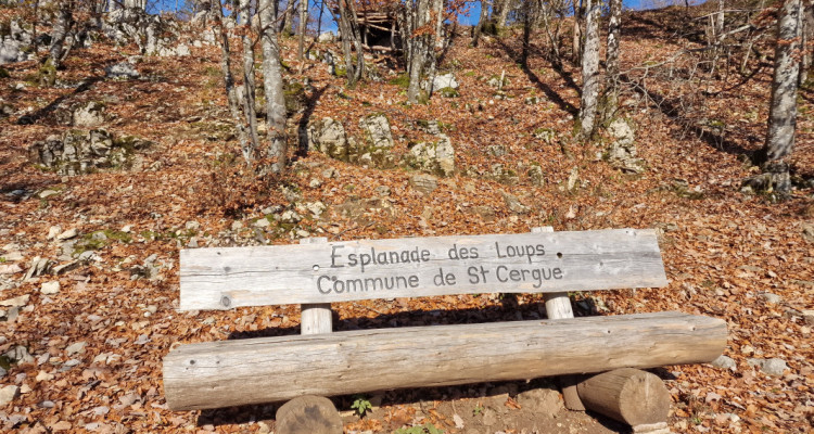 Fabuleux appartement en terrasse, Saint Cergue centre image 12