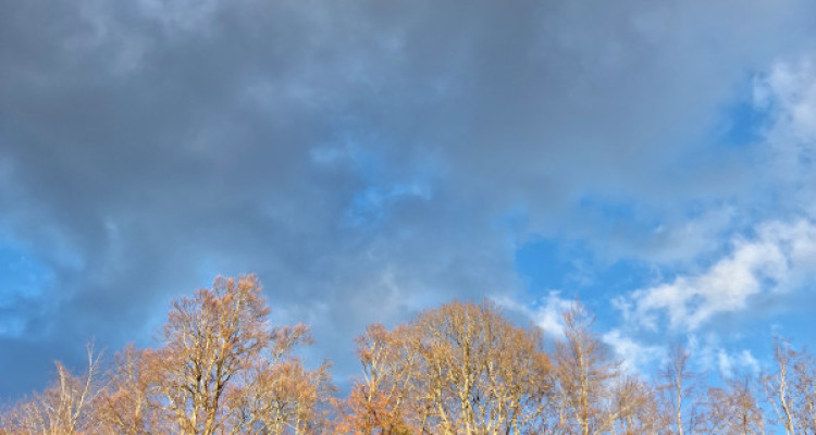 Fabuleux appartement en terrasse, Saint Cergue centre image 7