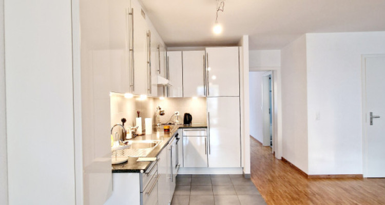 Fabuleux appartement en terrasse, Saint Cergue centre image 4