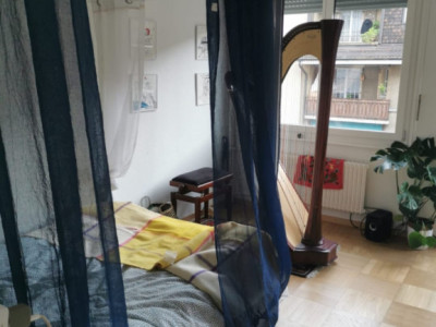 Magnifique 2 pièces avec balcon aux Pâquis  image 8