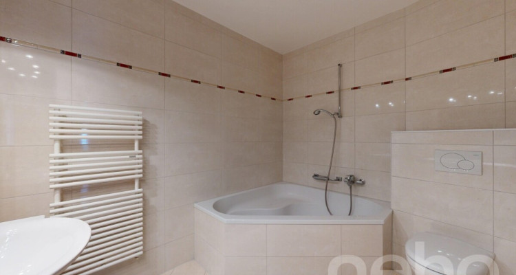 Magnifique 5.5p aux grands volumes à 2 pas du lac et du centre ville! image 8