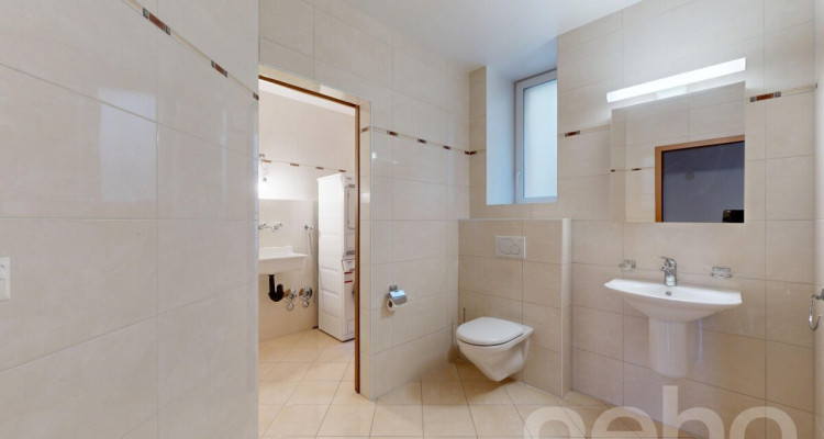 Magnifique 5.5p aux grands volumes à 2 pas du lac et du centre ville! image 11